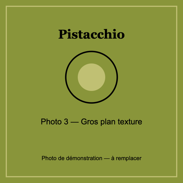 Photo de démonstration - gros plan