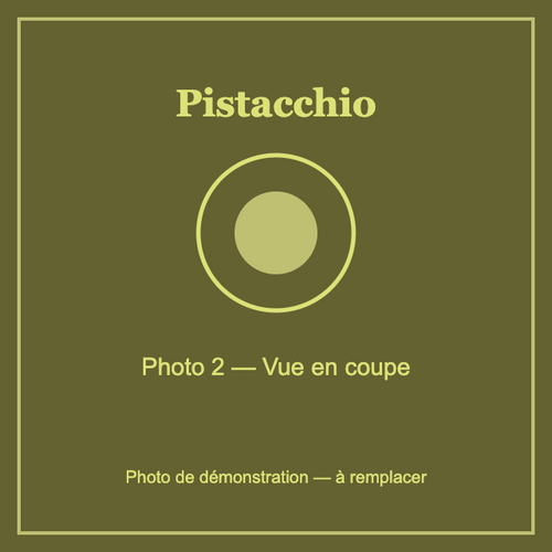 Photo de démonstration - vue en coupe