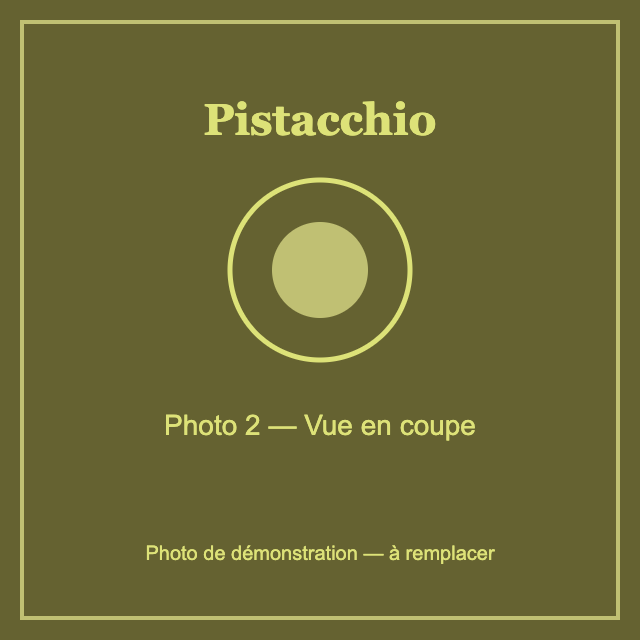 Photo de démonstration - vue en coupe
